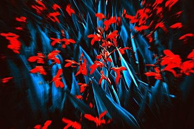 Steam《荣耀斗罗》特别好评！上线领红包