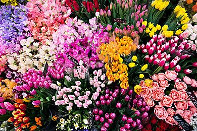 日本大学生玩抓娃娃机失利 发出死亡威胁后被捕