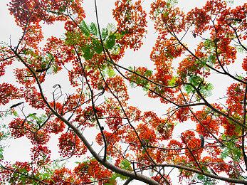 恐怖诡异！《鬼武者：剑之道》幻魔介绍＆模型放出